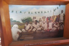 Picture Gallery