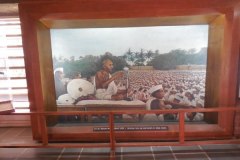 Picture Gallery