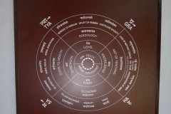 The Life Cycle of a Satyagrahi